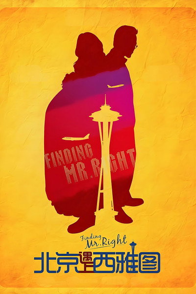 Póster de Finding Mr. Right