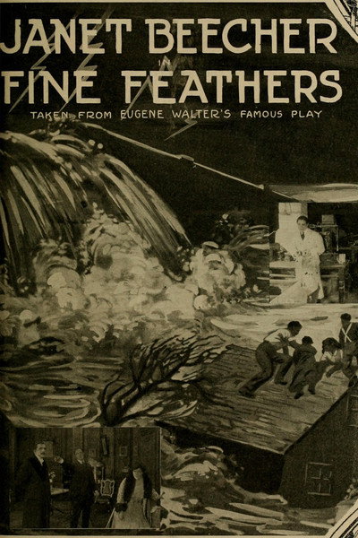 Póster de Fine Feathers