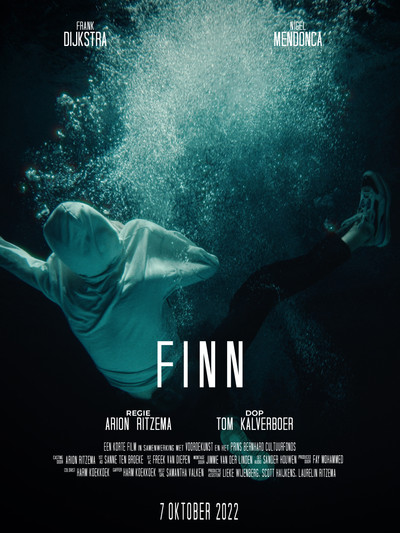 Póster de FINN
