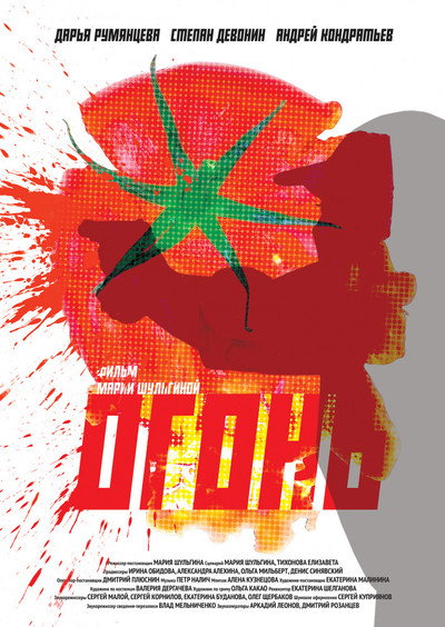 Póster de Fire