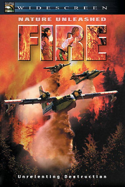 Póster de Fire