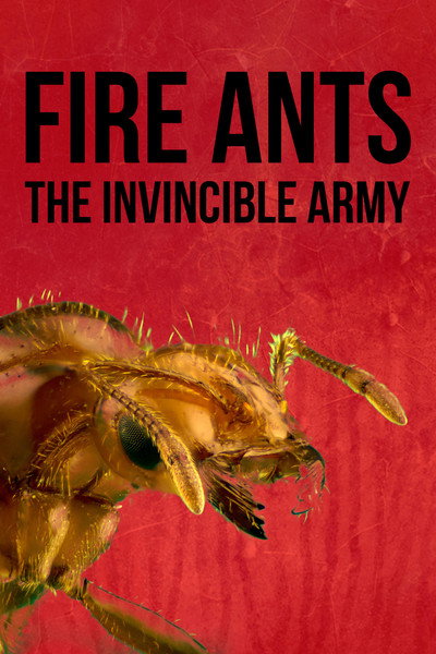 Póster de Fire Ants 3D: The Invincible Army