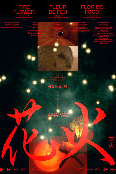 Póster de Fire Flower