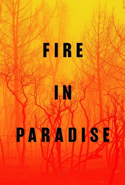 Póster de Fire in Paradise