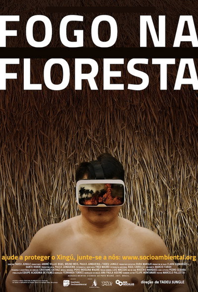 Póster de Fire in the Forest