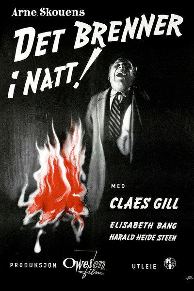 Póster de Fire in the Night