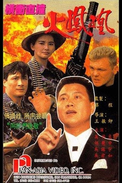 Póster de Fire Phoenix