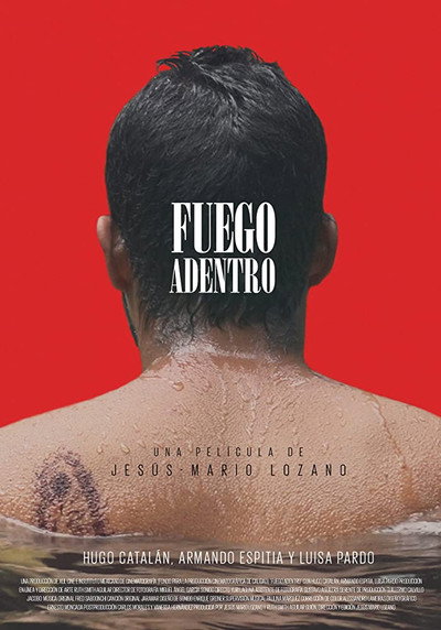 Póster de Fire Within