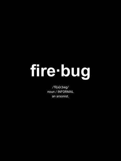 Póster de Firebug