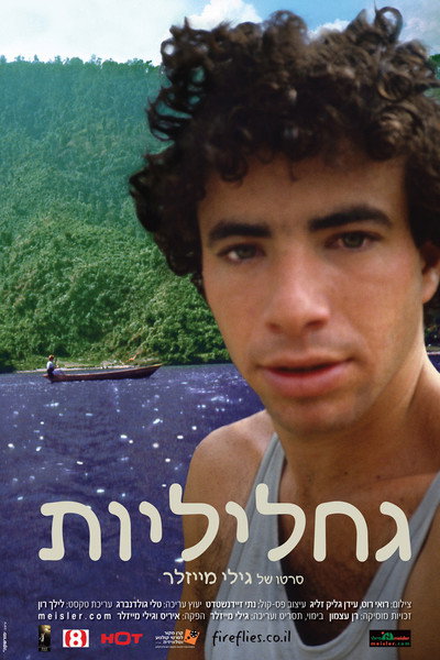 Póster de Fireflies