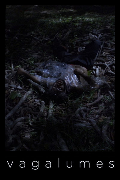 Póster de Fireflies