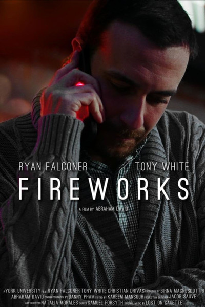 Póster de Fireworks