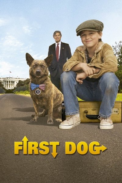 Póster de First Dog