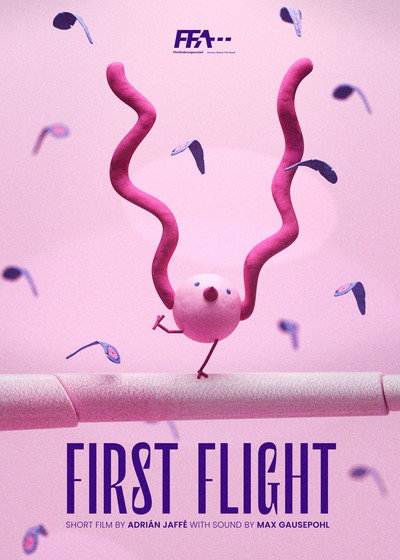 Póster de First Flight