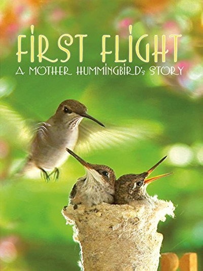 Póster de First Flight: A Mother Hummingbird's Story