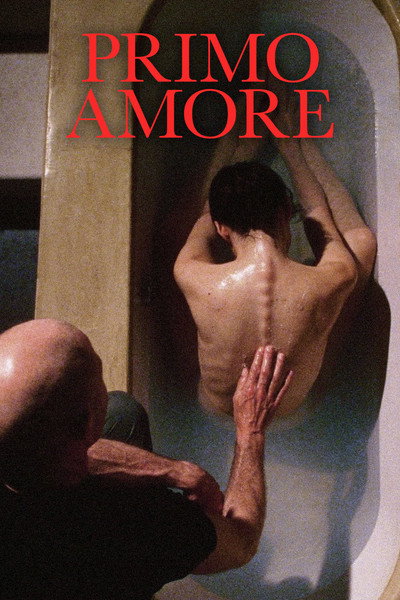 Póster de First Love