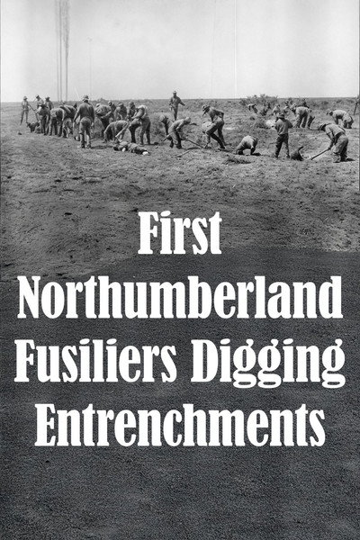 Póster de First Northumberland Fusiliers Digging Entrenchments
