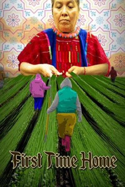 Póster de First Time Home