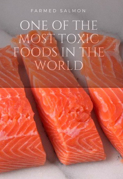 Póster de Fish: Farming in Troubled Waters