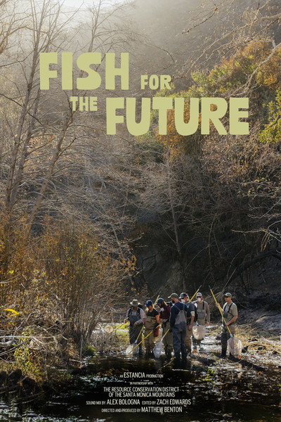 Póster de Fish for the Future
