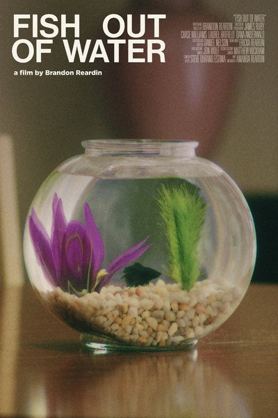 Póster de Fish Out of Water