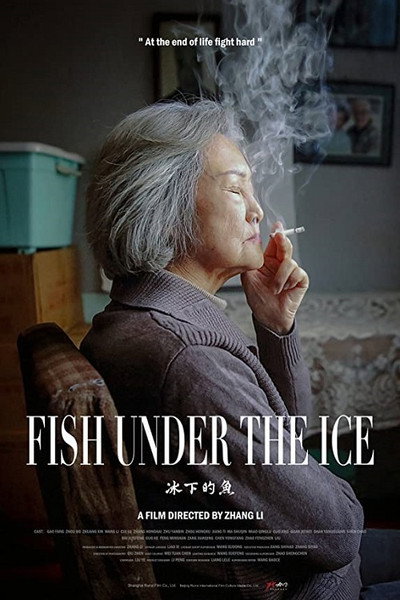 Póster de Fish Under the Ice