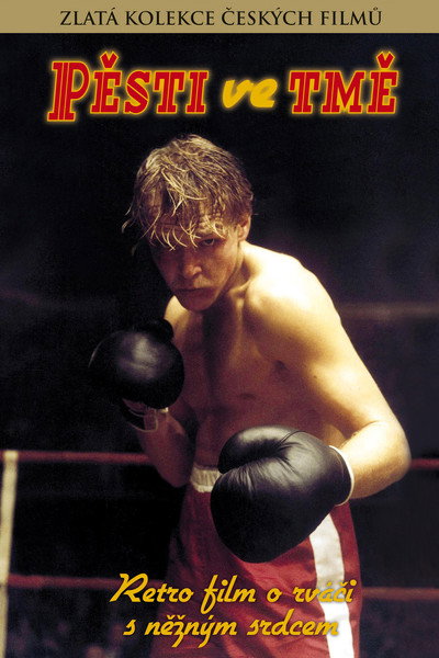 Póster de Fists in the Dark
