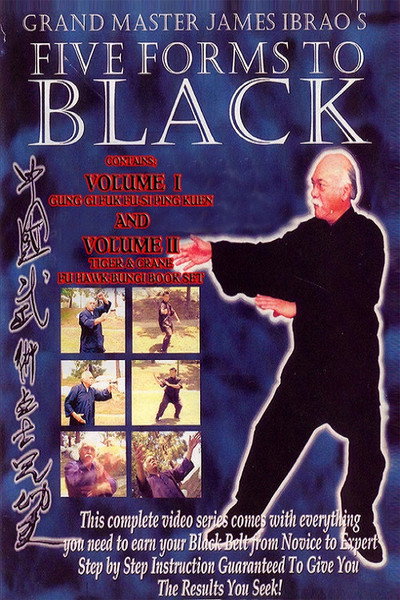 Póster de Five Forms to Black