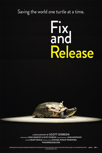 Póster de Fix and Release