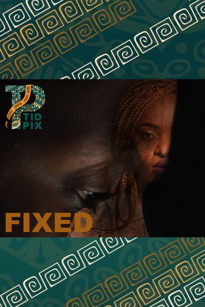 Póster de Fixed