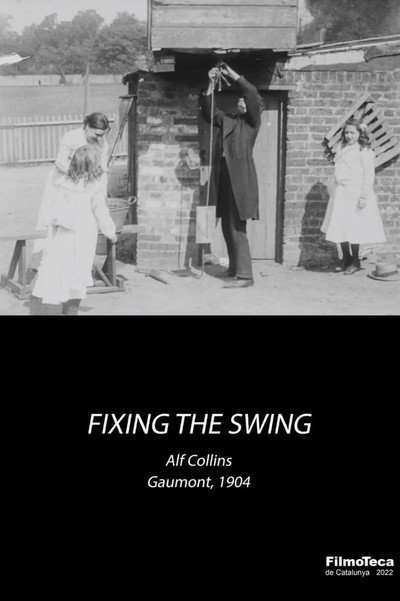 Póster de Fixing the Swing