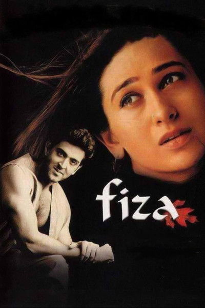 Póster de Fiza