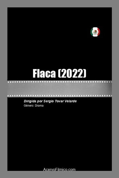 Póster de Flaca