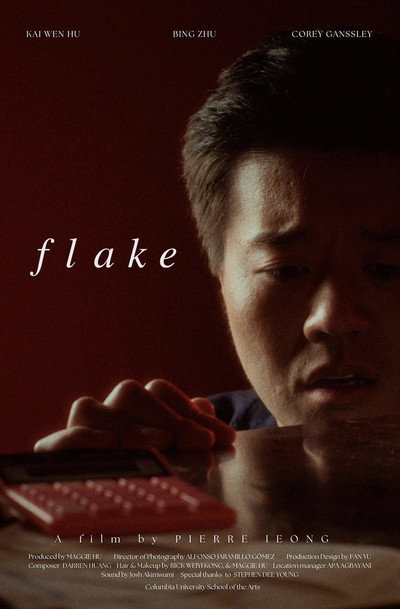 Póster de Flake