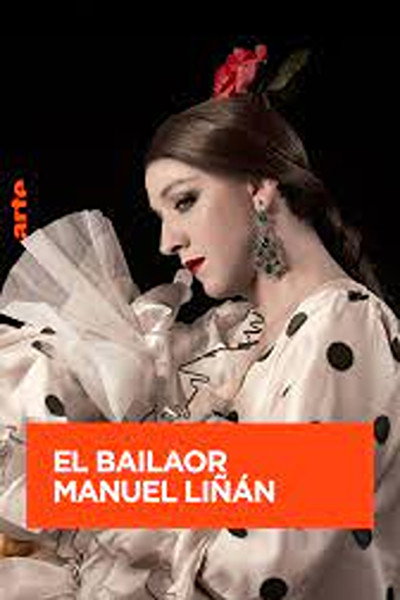Póster de Flamenco der besonderen Art - Der Tänzer Manuel Linan