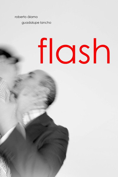 Póster de Flash
