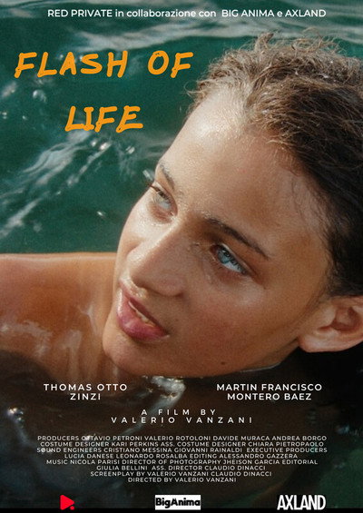 Póster de Flash of life