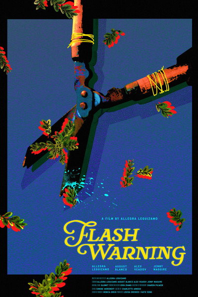Póster de Flash Warning