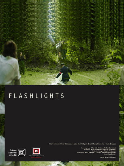 Póster de Flashlights
