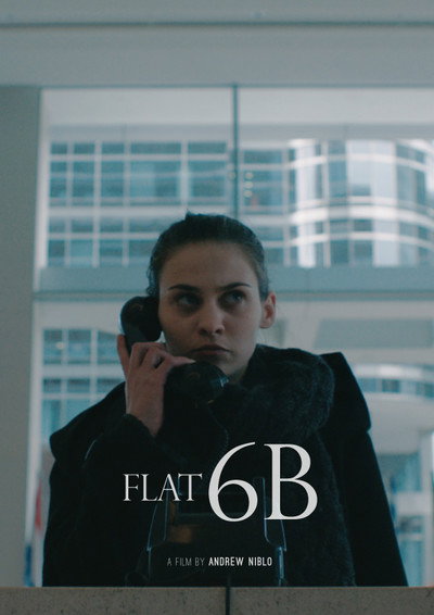 Póster de Flat 6b