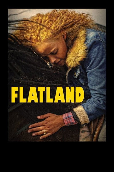 Póster de Flatland