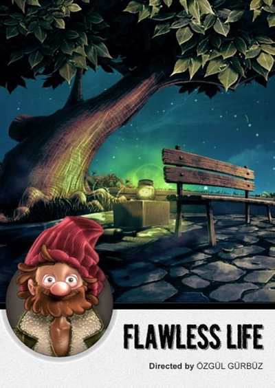 Póster de Flawless Life