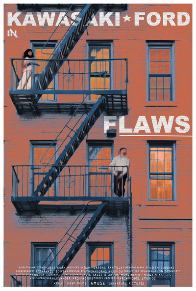 Póster de Flaws