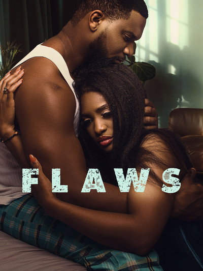Póster de Flaws