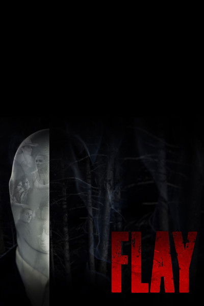 Póster de Flay