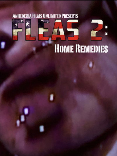 Póster de Fleas 2: Home Remedies