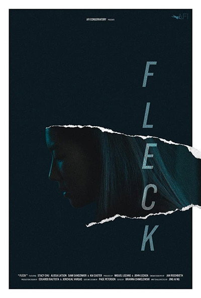Póster de Fleck