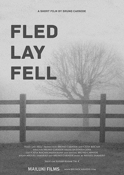 Póster de Fled. Lay. Fell.