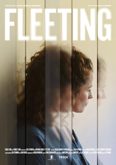 Póster de Fleeting