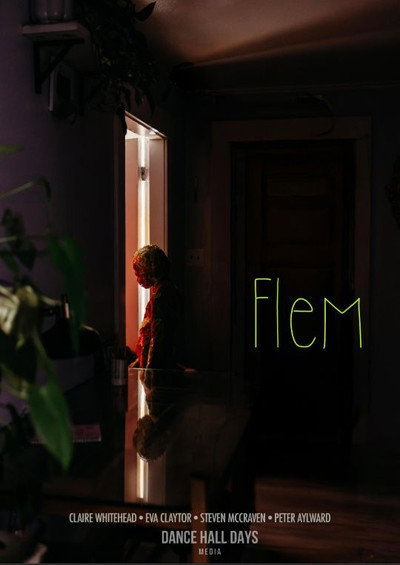 Póster de Flem